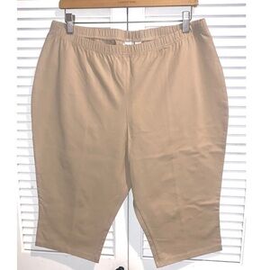 Women in Control Tan Shorts XLP